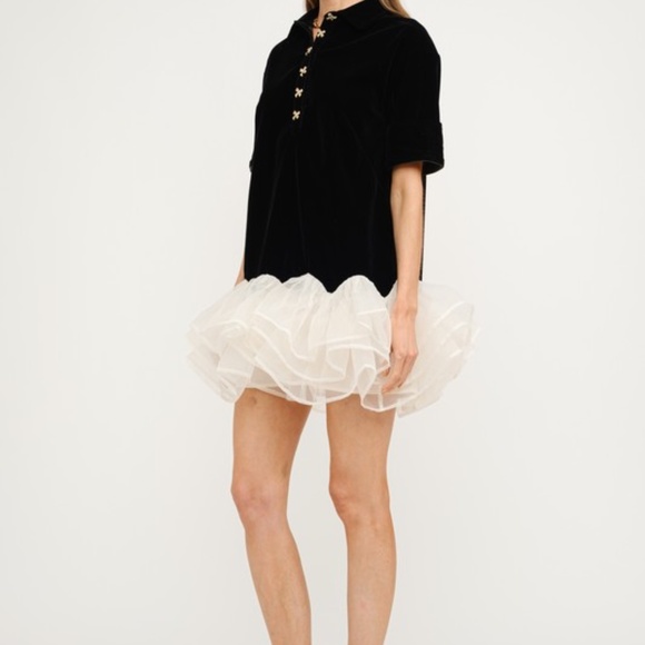 Velvet Mini Dress with Ruffles - Picture 8 of 8